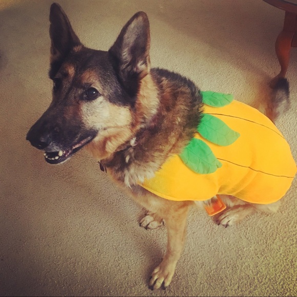 Meet your Posher, Jacqueline - Picture 1 of 1